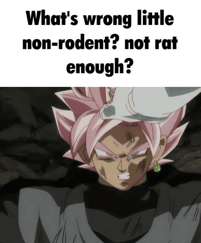 What's Wrong Little Non-Rodent Not Rat Enough