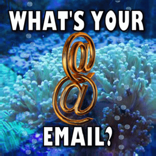 What's Your Email Ocean GIF