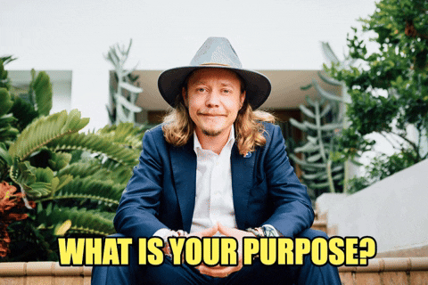 What's Your Purpose Congratulations On Your New Job GIF