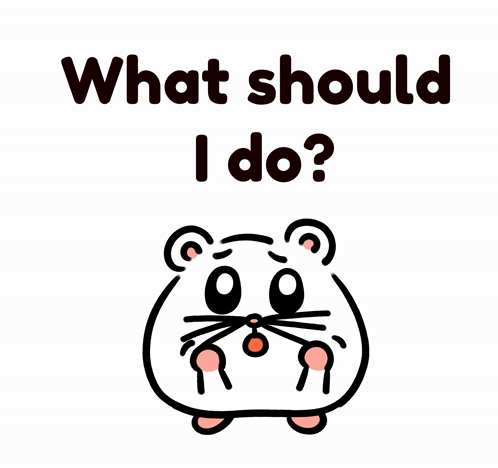 What Should I Do Hamster GIF