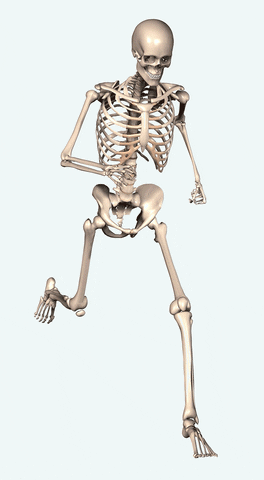 What Skeleton Running Look Like GIF