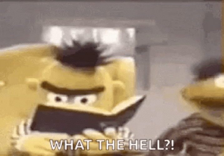 What The Bert GIF
