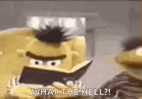 What The Hell Sesame Street Ernie GIF