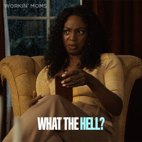 What The Hell Working Moms GIF