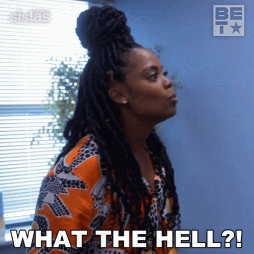 What The Hell Sistas GIF