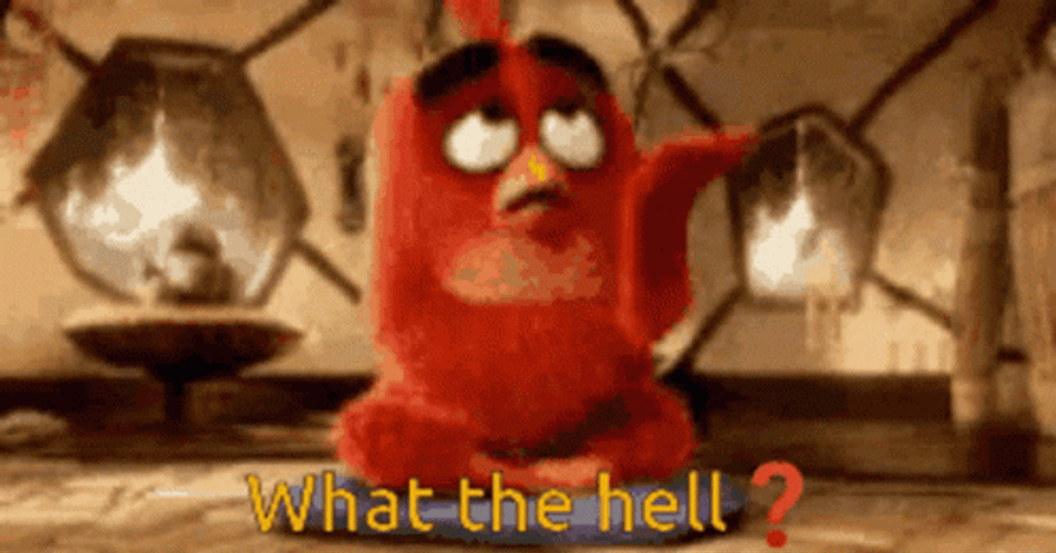 What The Hell Angry Bird Red GIF