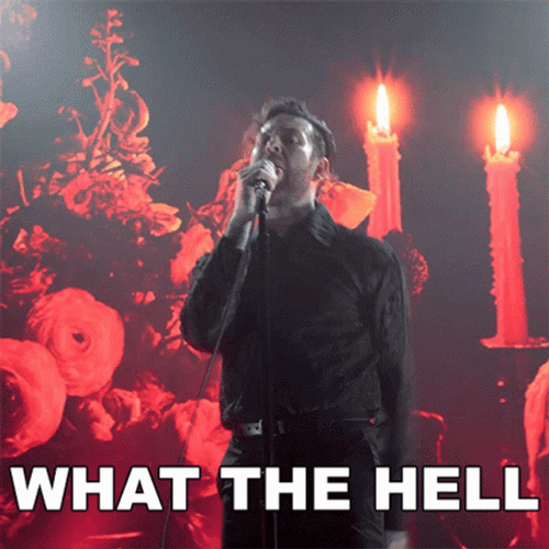 What The Hell Buddy Nielsen GIF