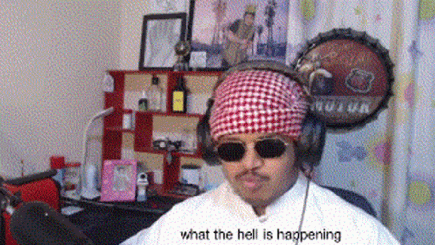 What The Hell Is Happening GIF