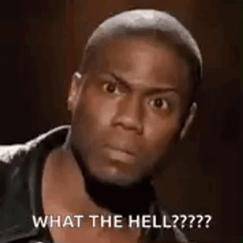 What The Hell Kevin Hart Meme GIF