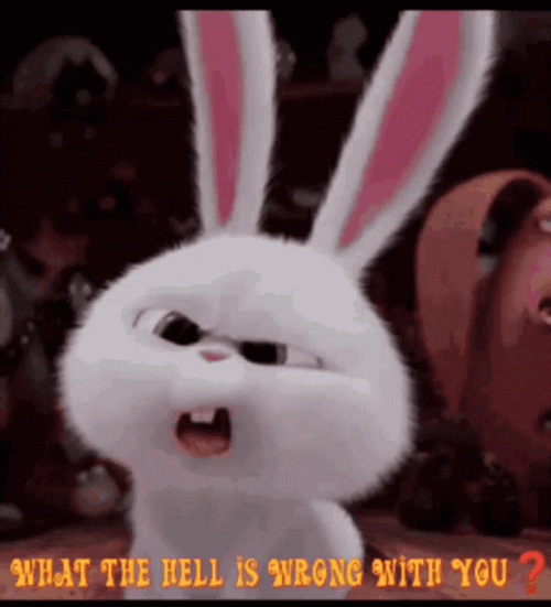 What The Hell Snowball The Secret Life Of Pets  GIF
