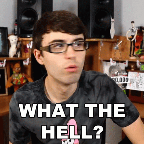 What The Hell Steve Terreberry GIF