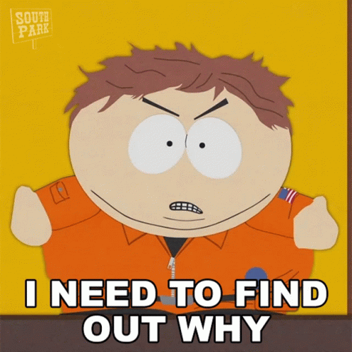 What Was The Reason Eric Cartman South Park GIF