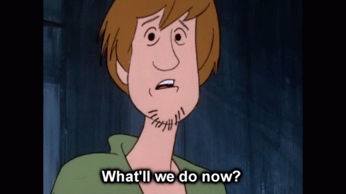 What Will We Do Now Scared Animated Shaggy GIF