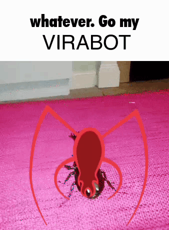 Whatever Go My Sugarfly