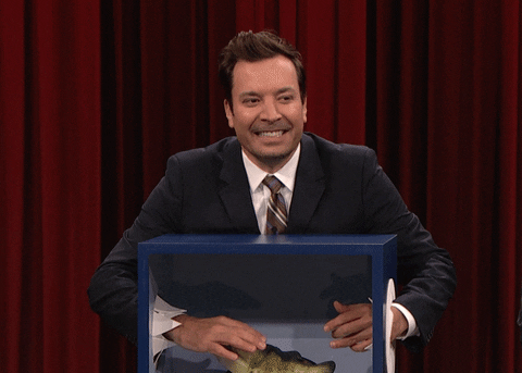 Whats In The Box Jimmy Fallon Shocked Screaming GIF
