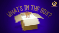 Whats In The Box Random Gifts Pizza Camera GIF