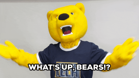 Whats Up Bear Greetings GIF