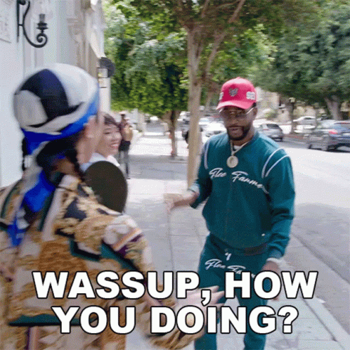 Whats Up Brother Cam'ron American Rapper GIF