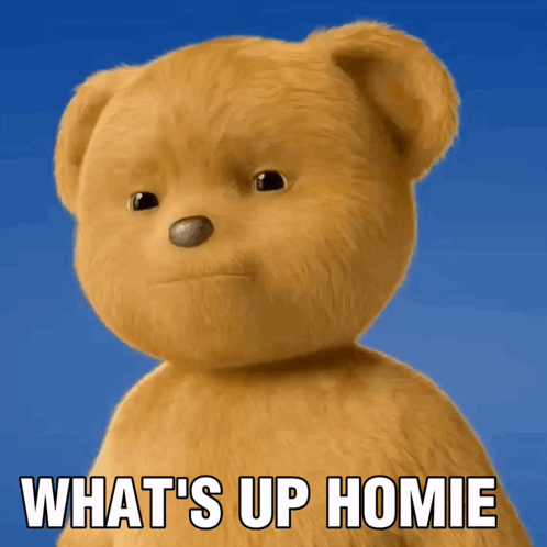 Whats Up Brother Cool Fluffy Bear GIF