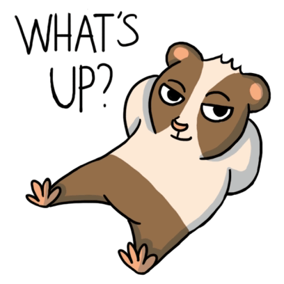 Whats Up Doc Guinea Pig Sticker GIF