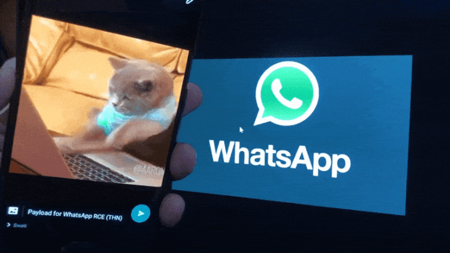 Whatsapp Cat GIF 