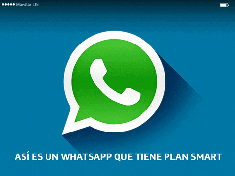 Whatsapp Chat Ecuador GIF