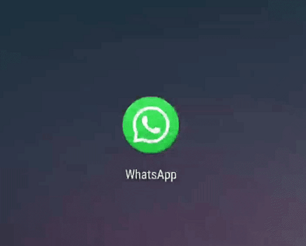 Whatsapp Circling Around Logo GIF