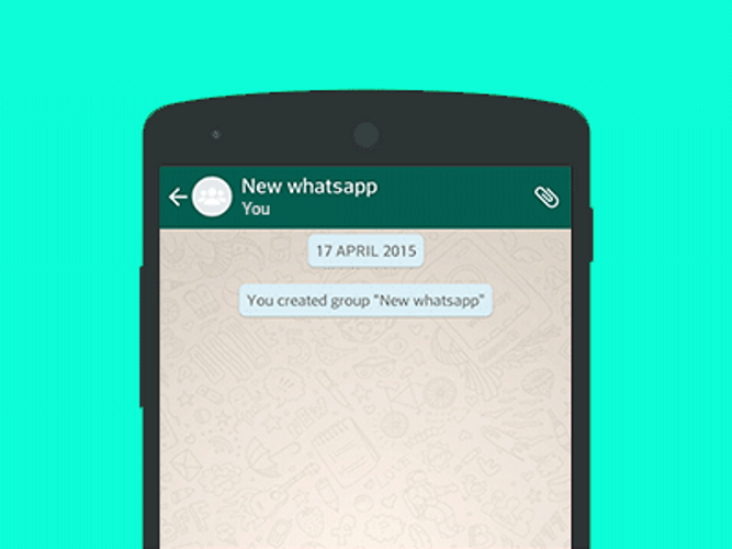 Whatsapp Features GIF