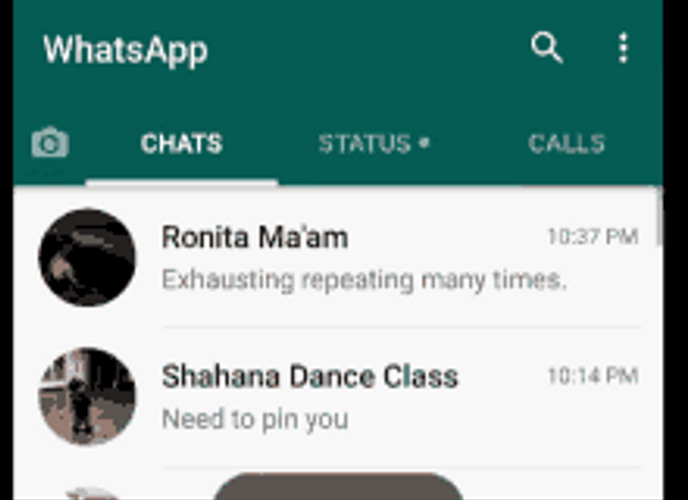 Whatsapp Pinned Message GIF