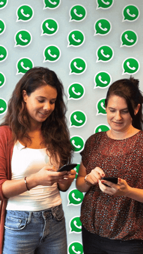 Whatsapp Shocked Girls GIF