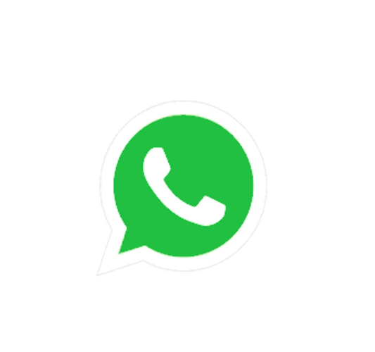 Whatsapp Zap GIF