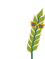 Wheat Kws Wheat Sticker GIF
