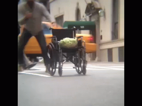 Vegetable On Wheelchair GIF