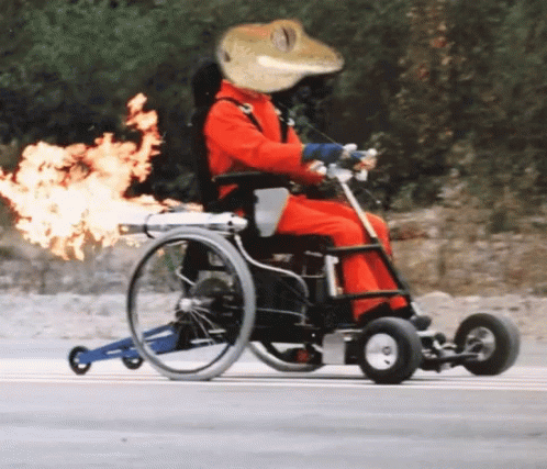 Wheelchair Lizard Animation GIF