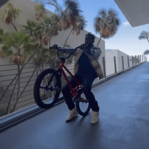 Wheelie Bike Riding Nigel Sylvester GIF