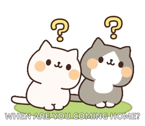 When Are You Coming Home GIF