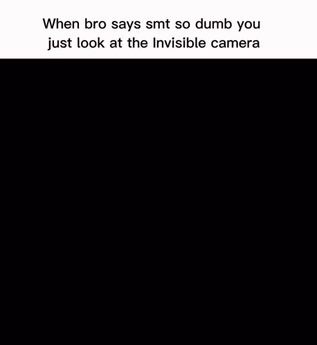 When Bro Says Smt So Dumb You Just Look At The Invisible Camera Cartoon GIF
