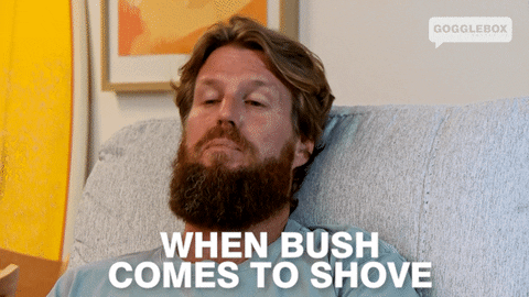 When Bush Comes To Shove GIF