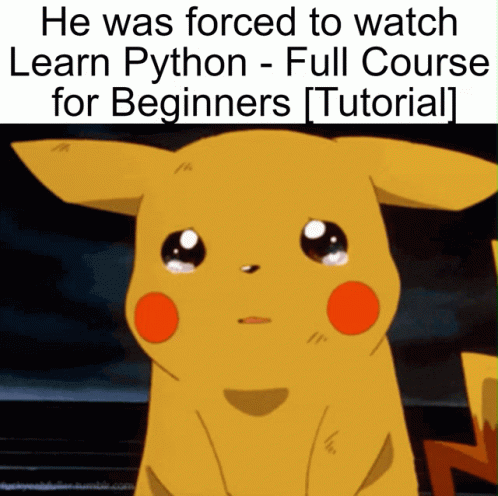 When Force To Learn Python Full Course GIF