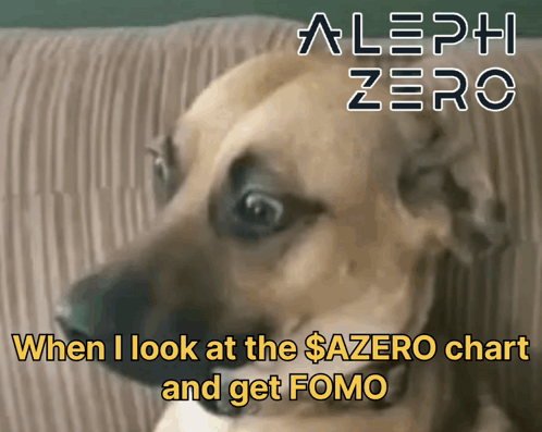 When I Look At The Chart And Get Fomo GIF