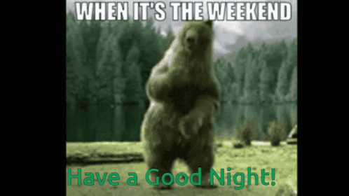 When Its The Weekend Bear Dancing GIF
