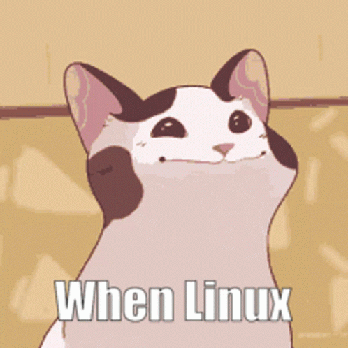 When Linux Cat GIF