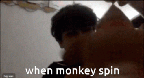 When Monkey Spinning GIF
