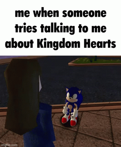 When Someone Tries Talking Kingdom Hearts Sonic GIF