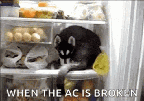 When The Air Conditioning Is Broken Husky GIF