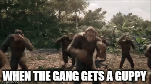 When The Gang Gets Guppy Gorilla Dancing GIF