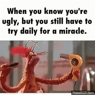 When You Know You 'Re Ugly , But You Still Have To Try Daily For A Miracle , Makeagif.com GIF