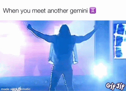 When You Meet Another Gemini Man