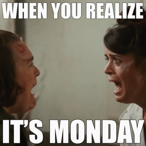 When You Realize Its Monday Meme GIF