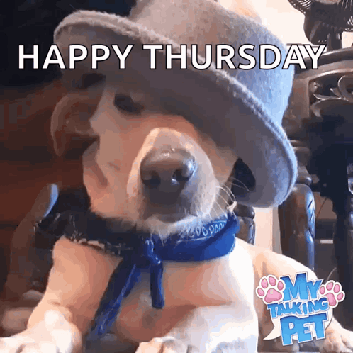 When You Think It's Friday But It's Only Thursday